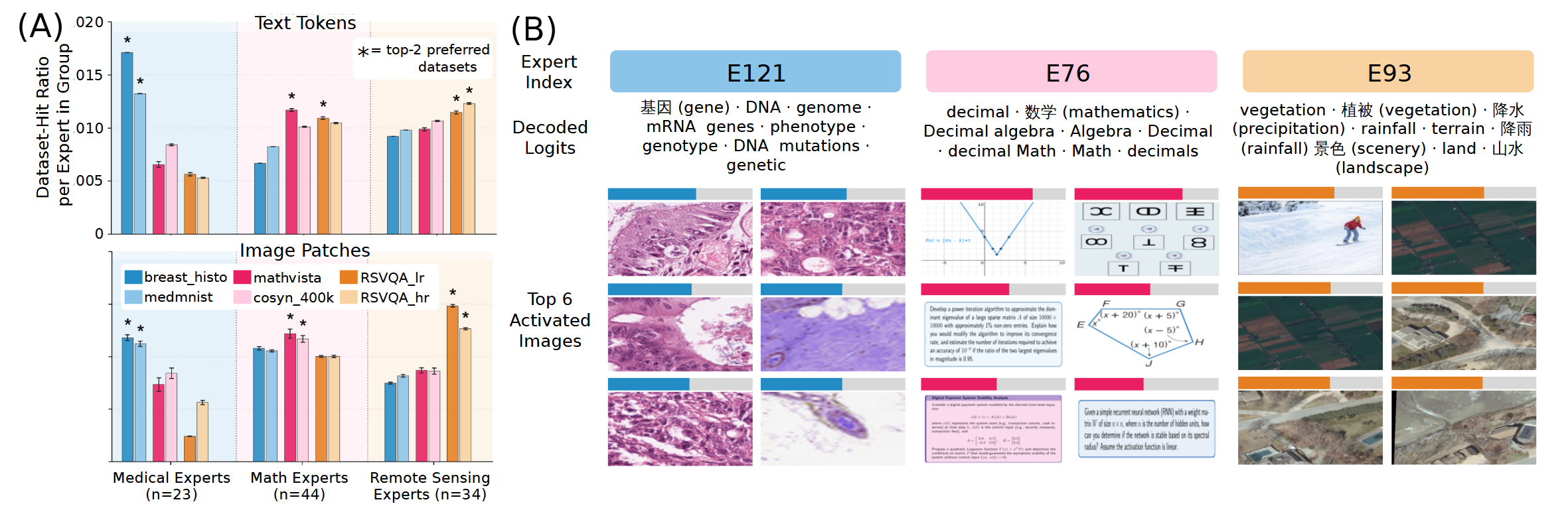 Three ExpertLens-labelled experts from layer 18 of Qwen3-VL-30B-A3B (E121 medical, E76 math, E93 remote sensing) with their decoded vocabulary tokens and the six images whose patches most often routed to each expert.