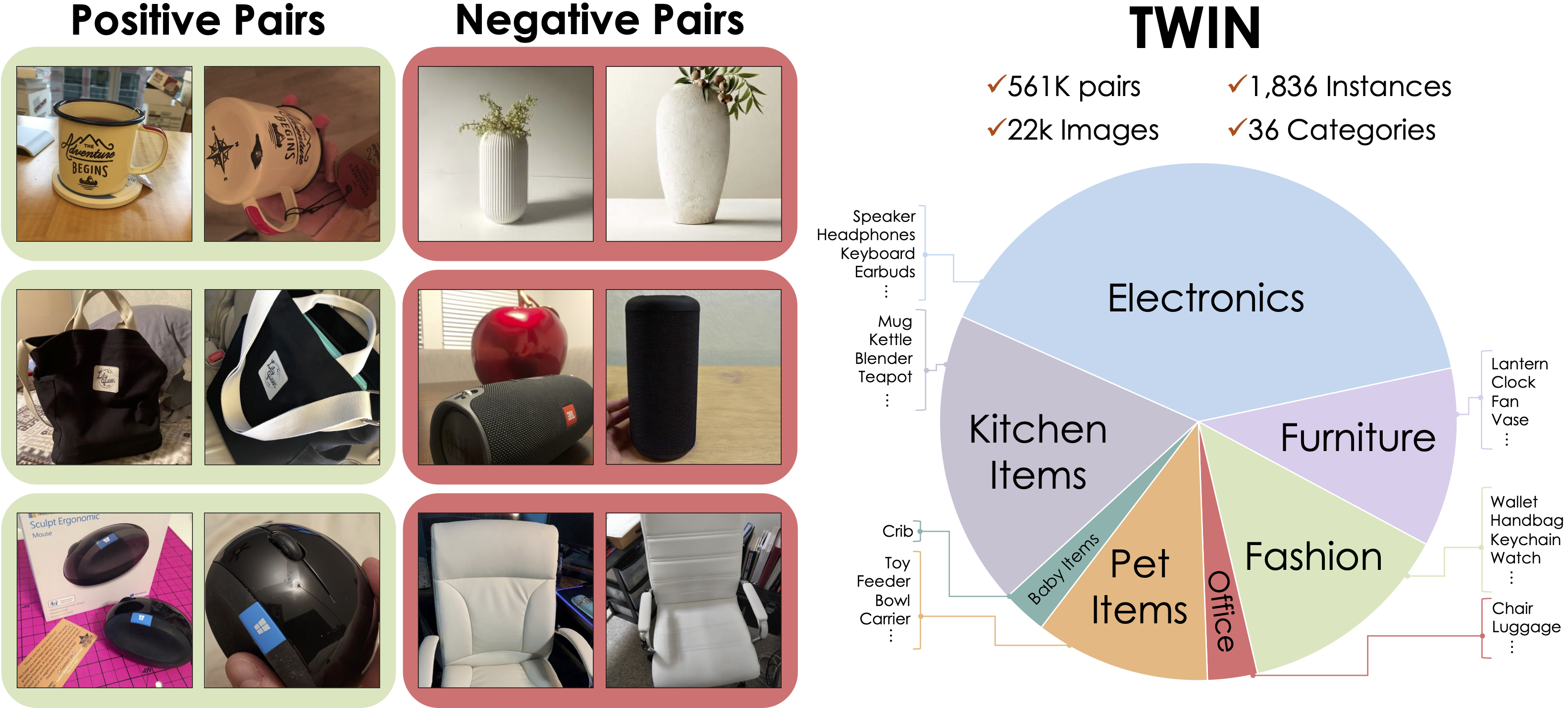 TWIN dataset overview